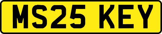 MS25KEY
