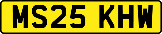 MS25KHW