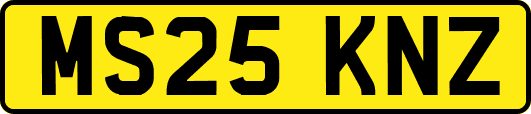 MS25KNZ