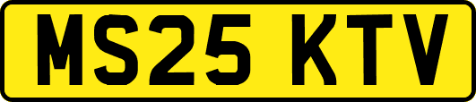 MS25KTV