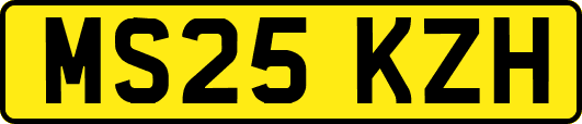 MS25KZH
