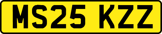 MS25KZZ