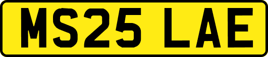MS25LAE