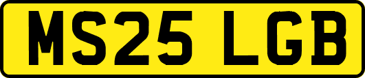 MS25LGB