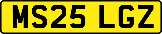 MS25LGZ
