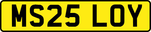 MS25LOY