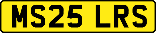 MS25LRS