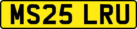MS25LRU