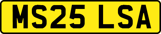 MS25LSA