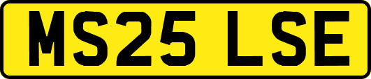 MS25LSE