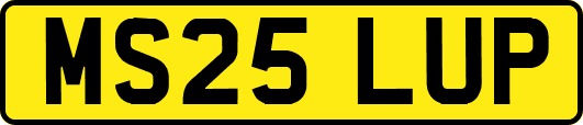 MS25LUP