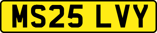 MS25LVY
