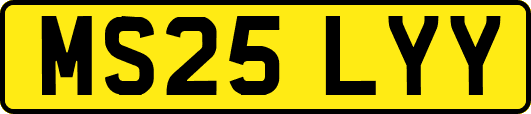 MS25LYY