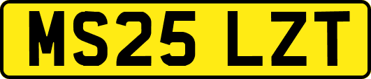 MS25LZT