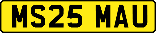 MS25MAU