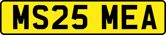 MS25MEA