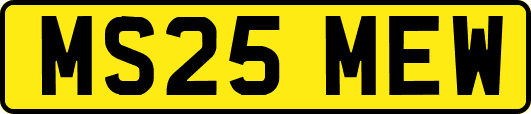 MS25MEW