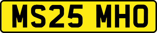 MS25MHO