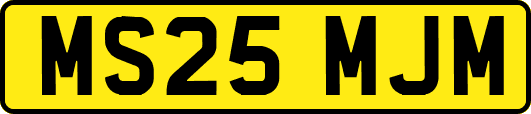 MS25MJM