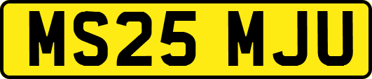 MS25MJU