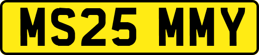 MS25MMY