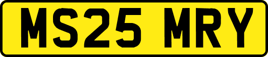 MS25MRY