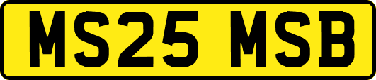 MS25MSB