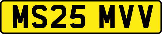 MS25MVV