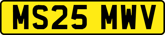 MS25MWV