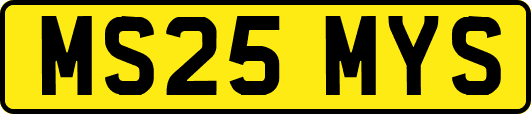 MS25MYS