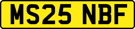 MS25NBF