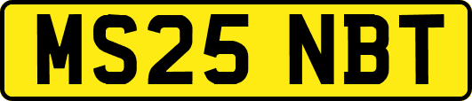 MS25NBT