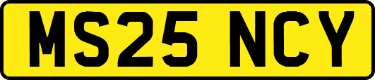 MS25NCY