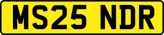 MS25NDR