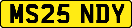 MS25NDY