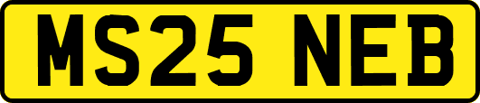 MS25NEB