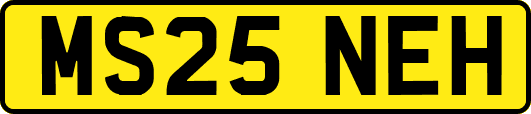 MS25NEH