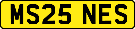 MS25NES