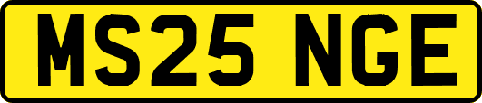 MS25NGE