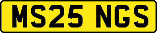 MS25NGS