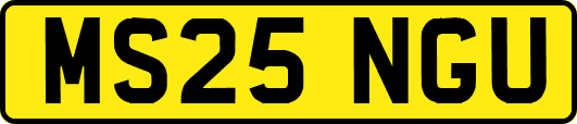 MS25NGU