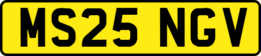 MS25NGV