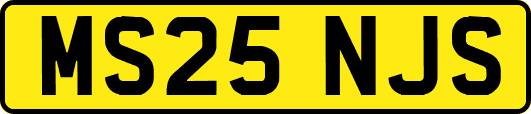MS25NJS