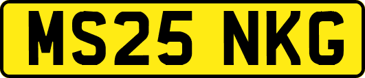 MS25NKG