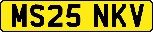 MS25NKV