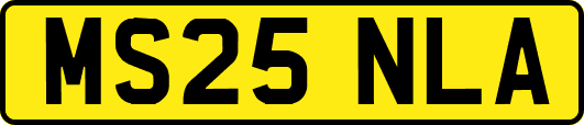 MS25NLA