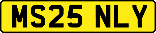 MS25NLY