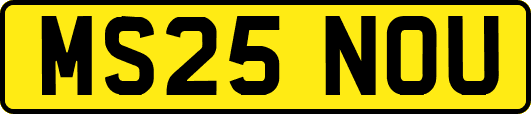 MS25NOU