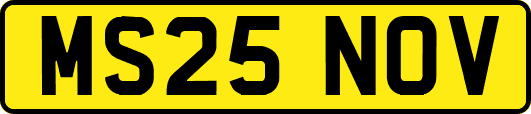 MS25NOV