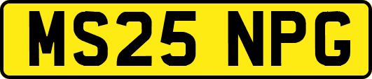 MS25NPG